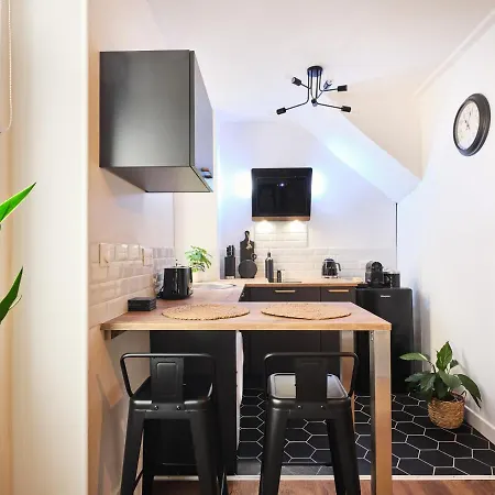 Tres Elegant Duplex, Proche Gare 아파트 그르노블