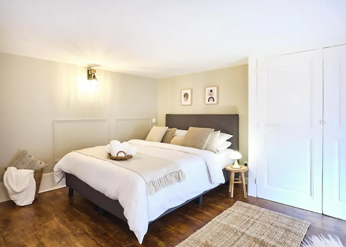 Tres Elegant Duplex, Proche Gare Appartement Grenoble