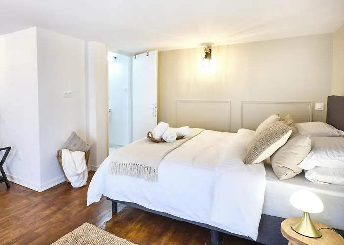 Appartement Tres Elegant Duplex, Proche Gare Grenoble